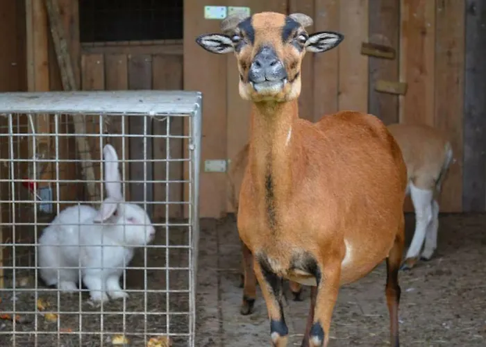 Dom Grinholc Nocleg ze śniadaniem Rumia